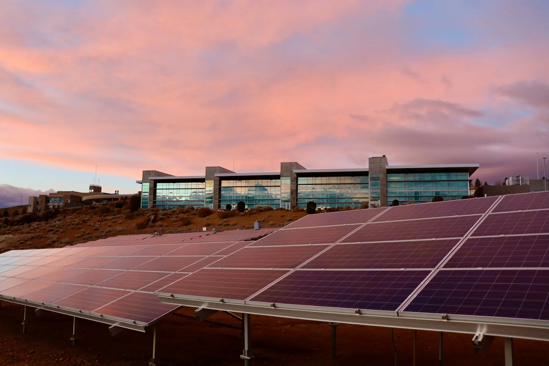 A solar panel array in front of a modern glass building under a pink sunset sky